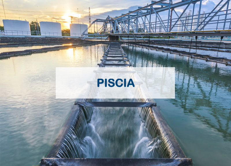 PISICA